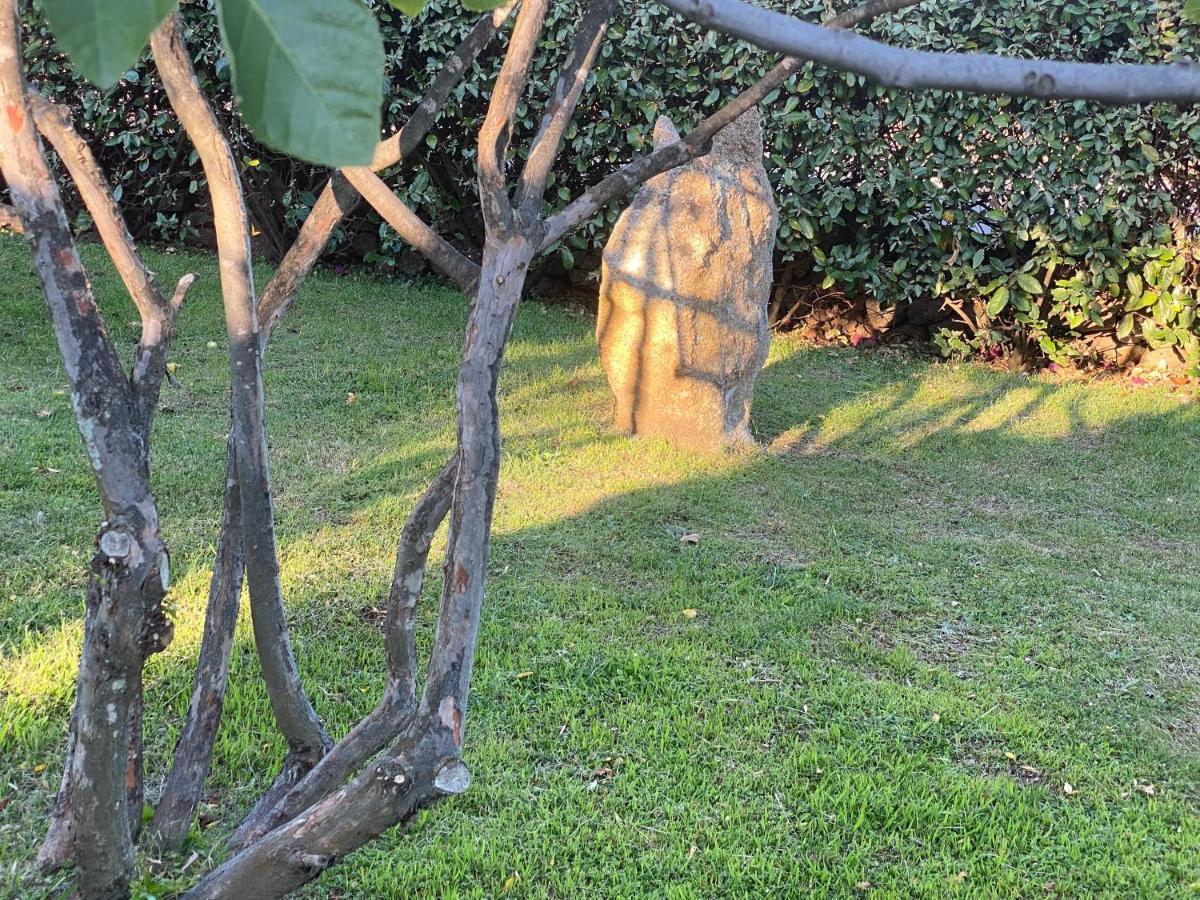 Bed And Breakfast Li Paduli Alvi Cannigione Luaran gambar