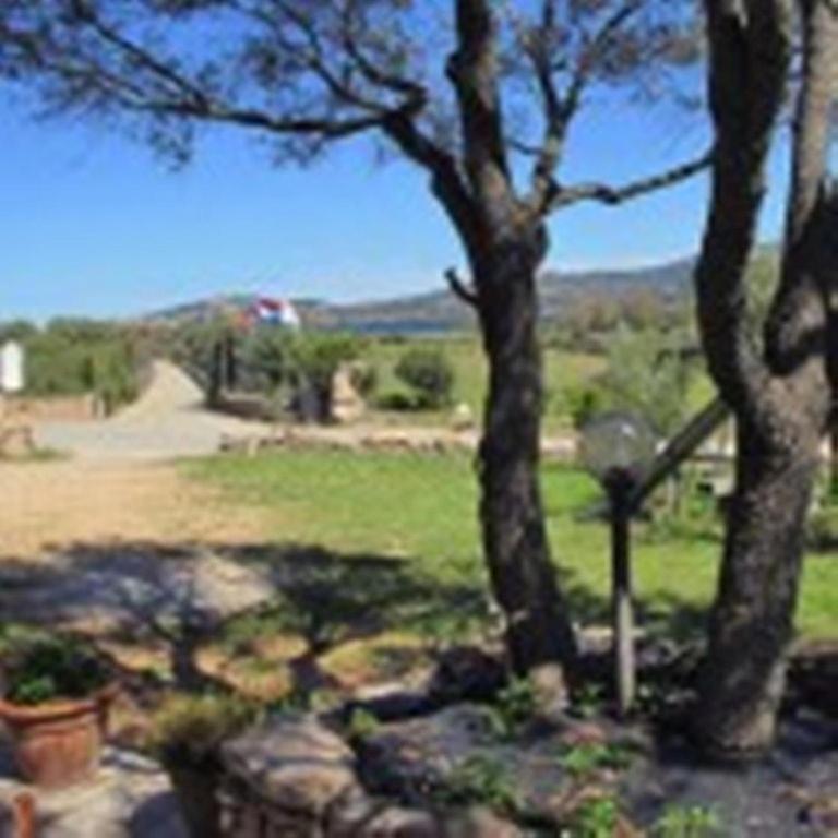 Bed And Breakfast Li Paduli Alvi Cannigione Luaran gambar